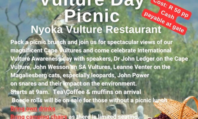 Vulture Day Picnic